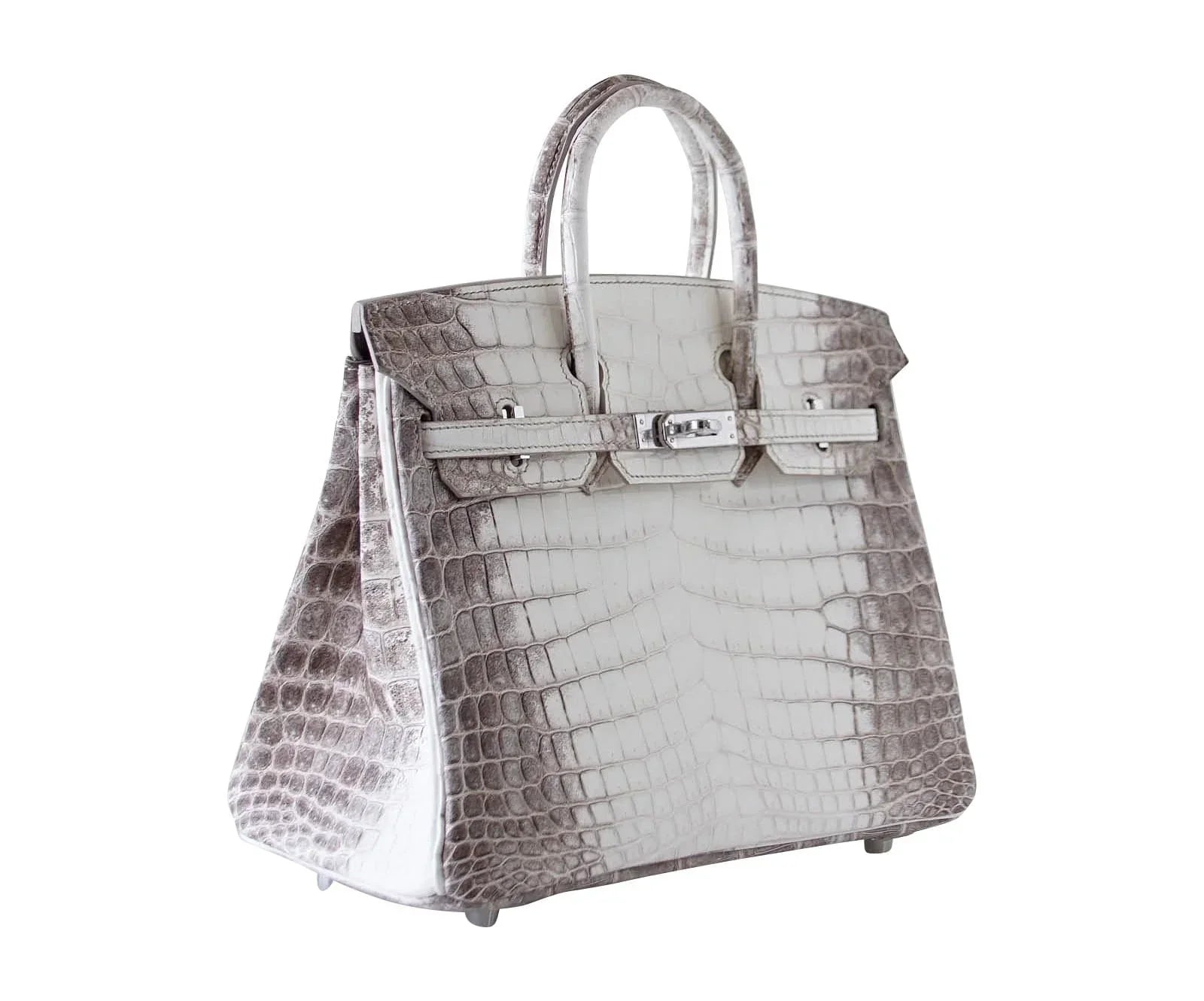 Birkin 25 Bag Blanc Himalaya Exquisite Jewel Palladium Hardware