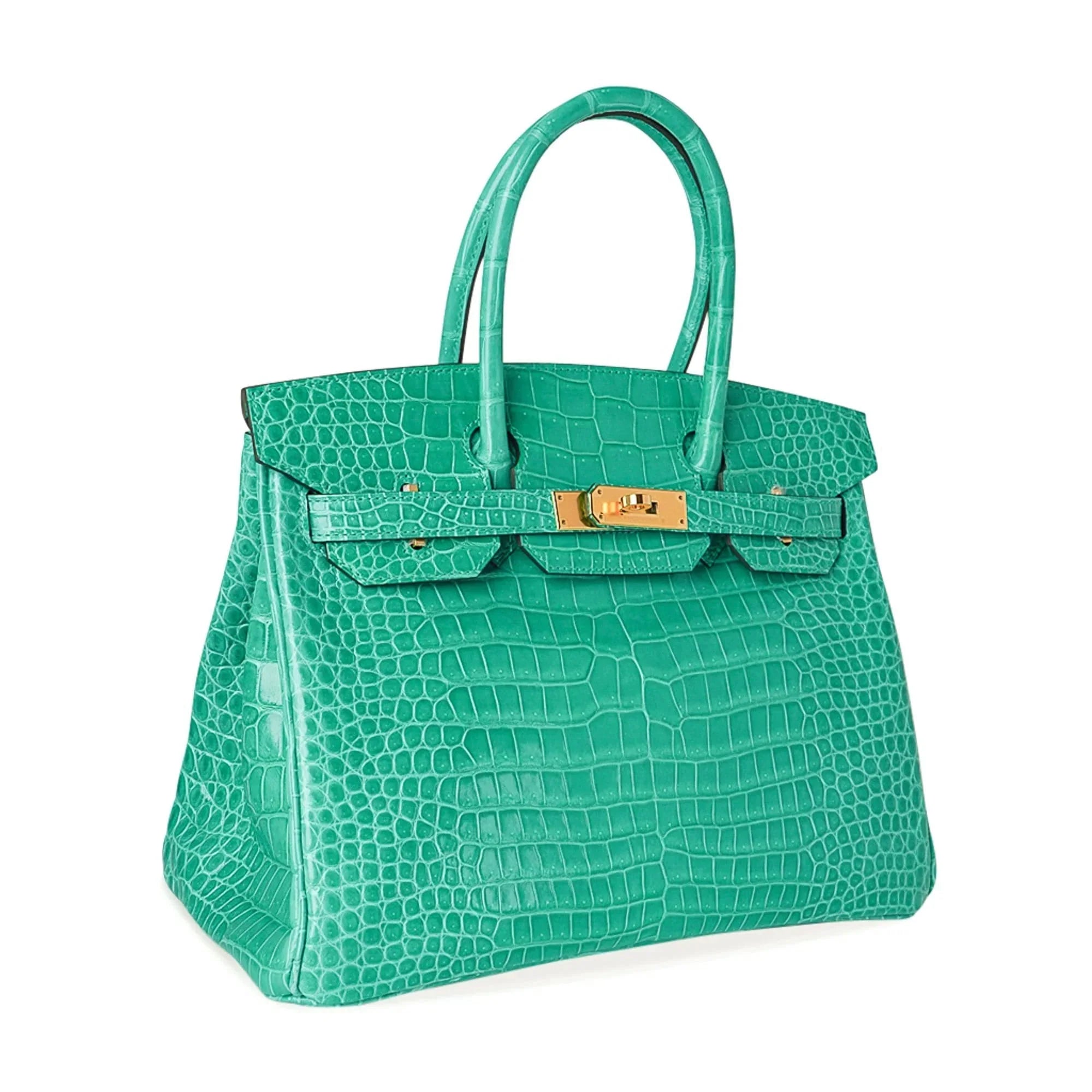 Birkin 30 Bag Jade Porosus Crocodile Gold Hardware
